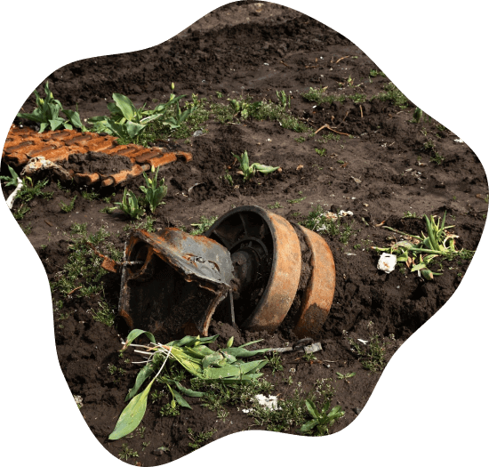 Agriculture & Health